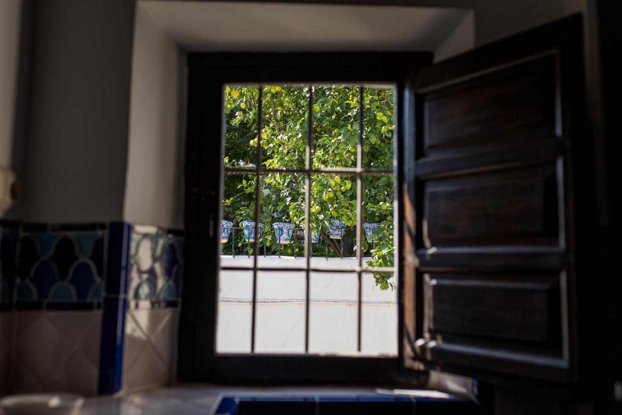 Appartement Casa Arte Y Suenos à Grenade Extérieur photo